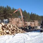 With the logs cut to length and stacked in the open, the long-haul road transport truck is loaded.